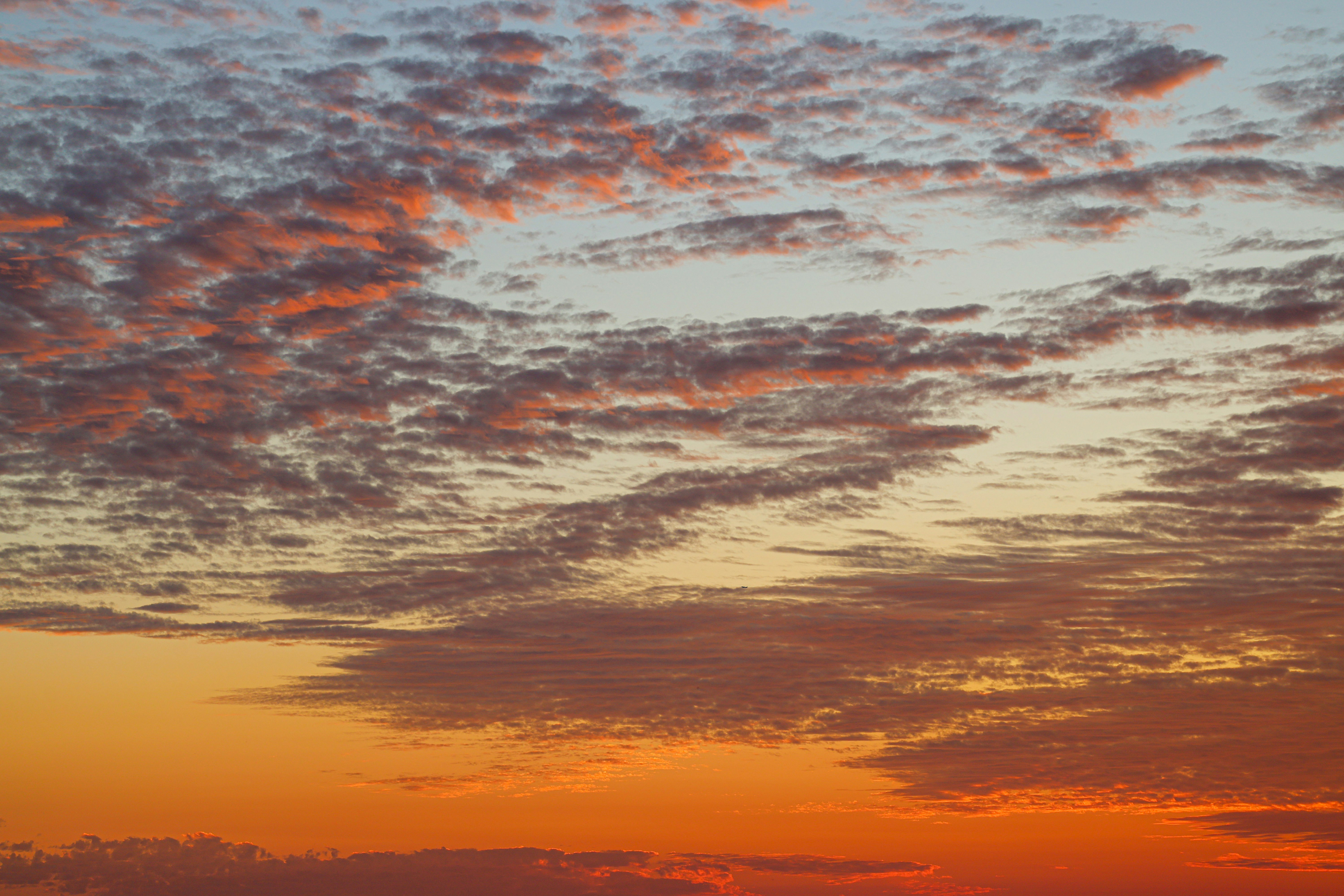 Photo by cestmoisheedy