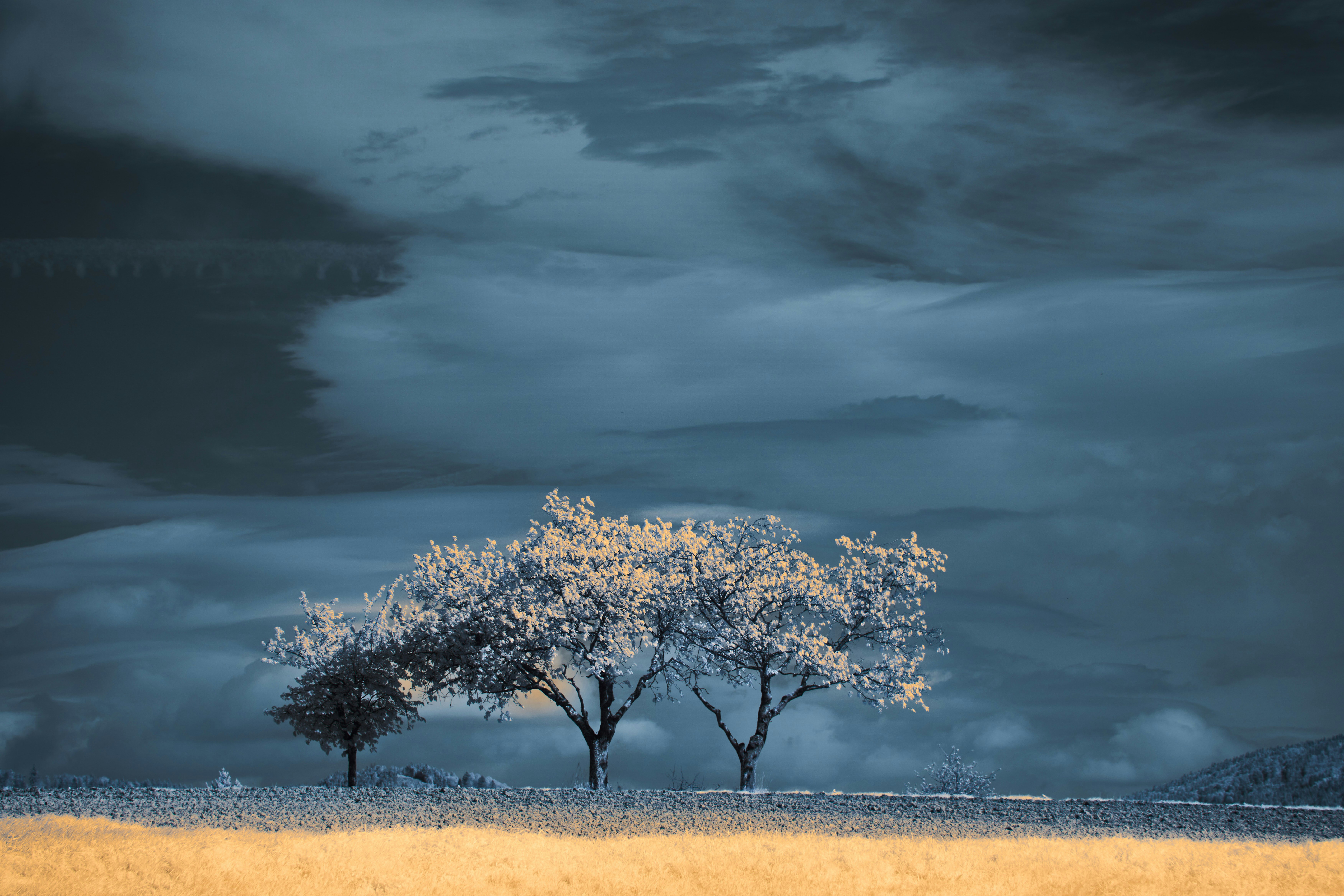 Photo by wolfgang_hasselmann