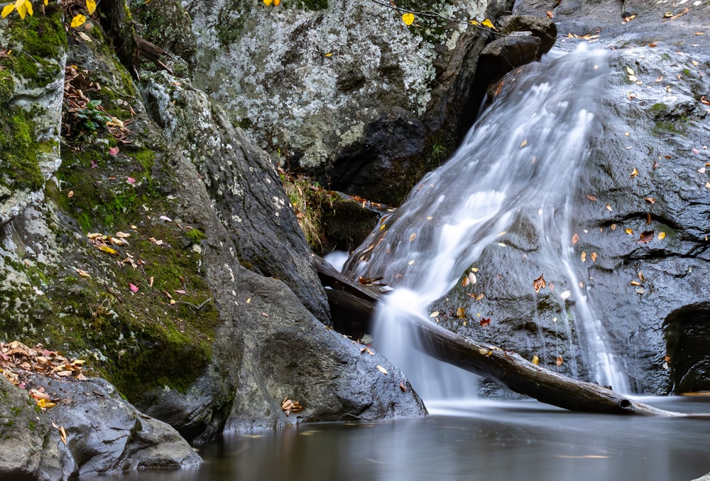 a small waterfall flowing over rocks in a forest