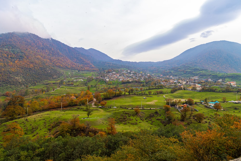 a lush green valley surrounded by mountains