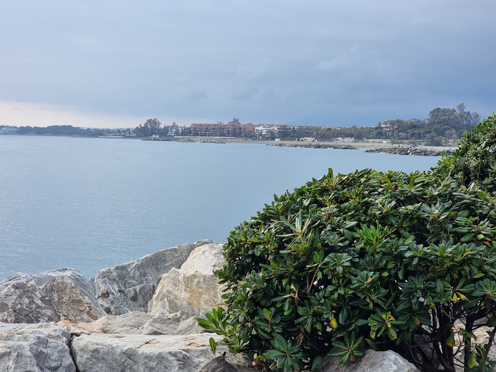 a large body of water surrounded by rocks