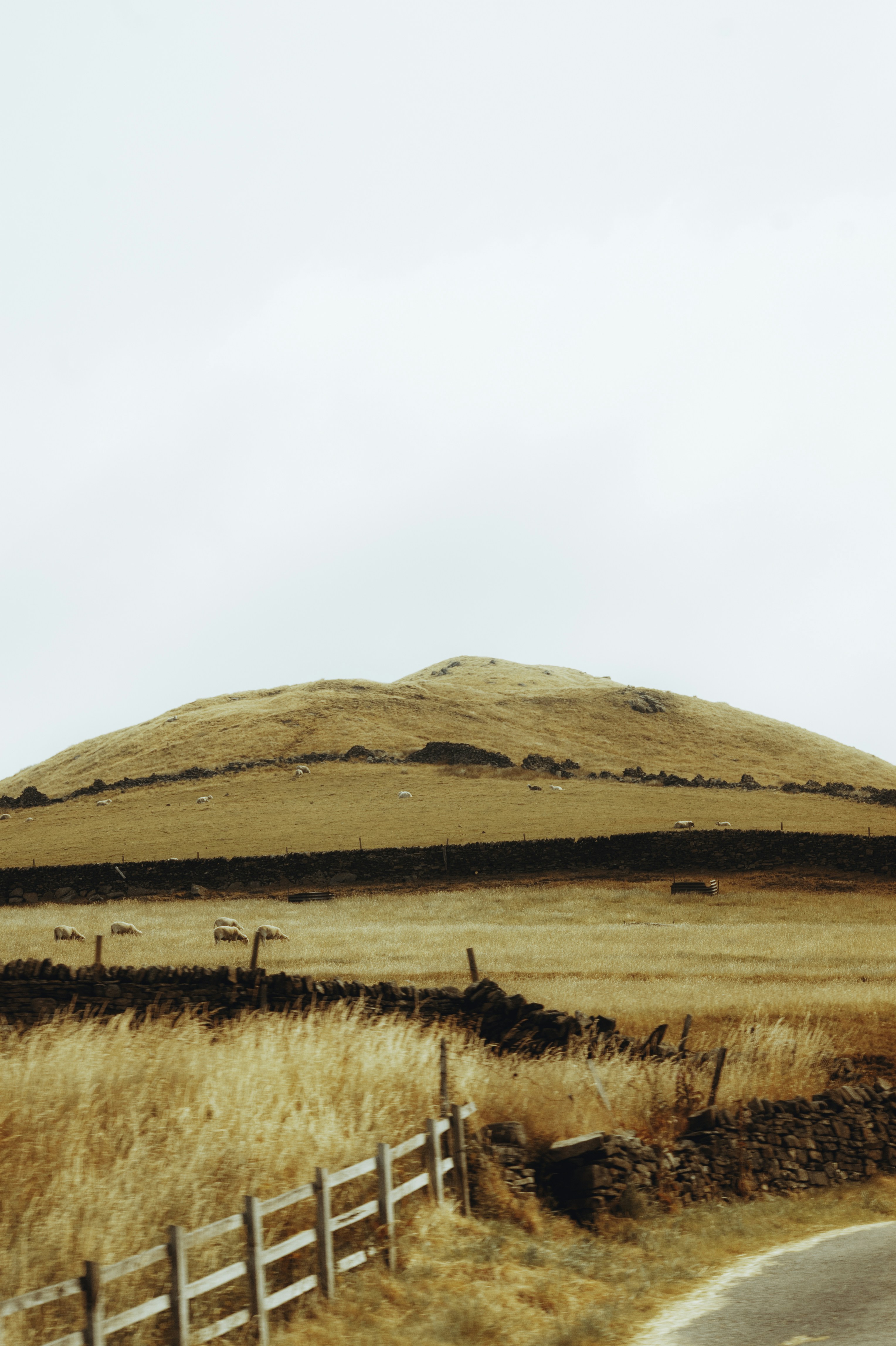 a field with a fence and a hill in the background