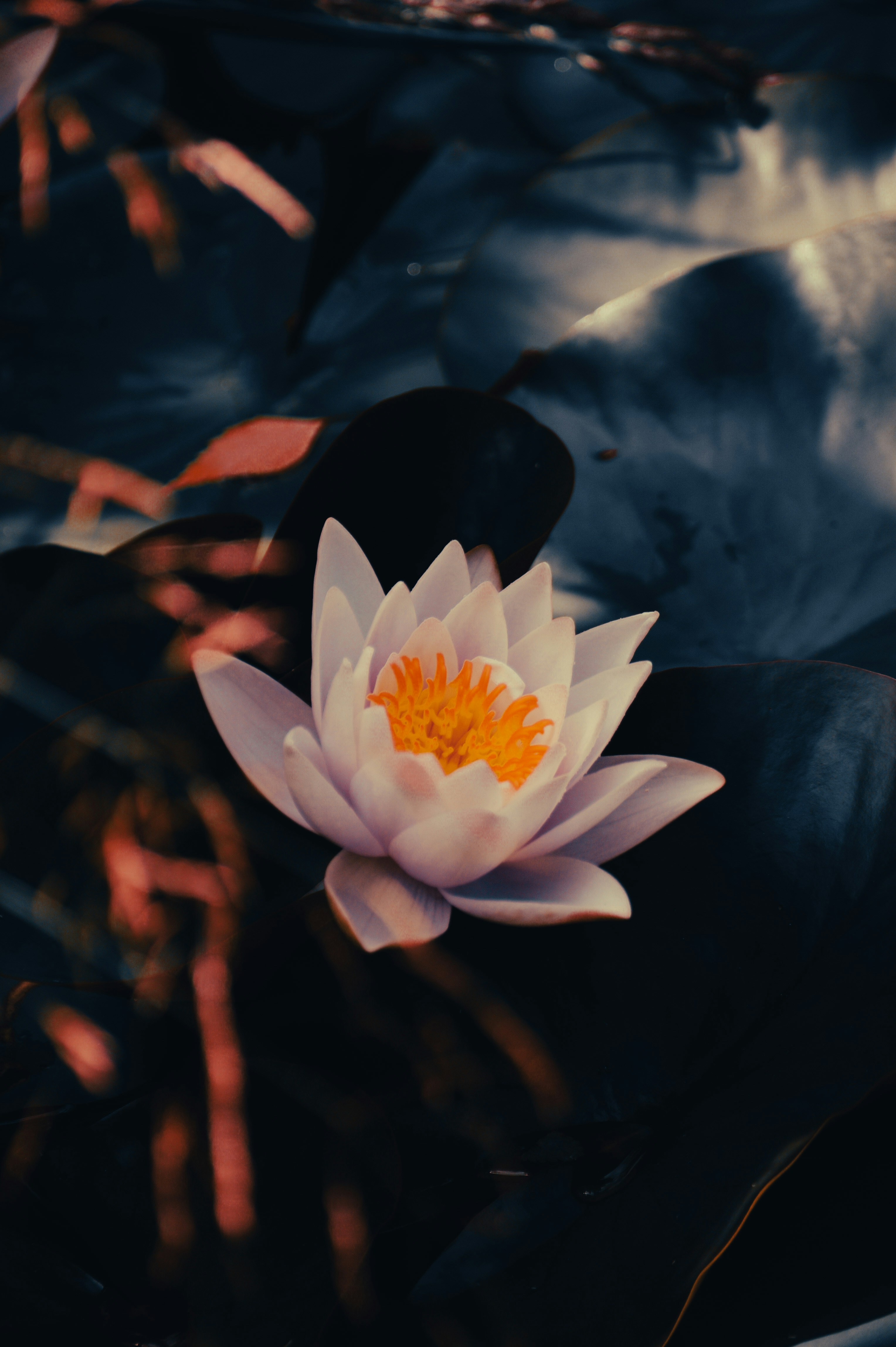 Photo by latitude55_