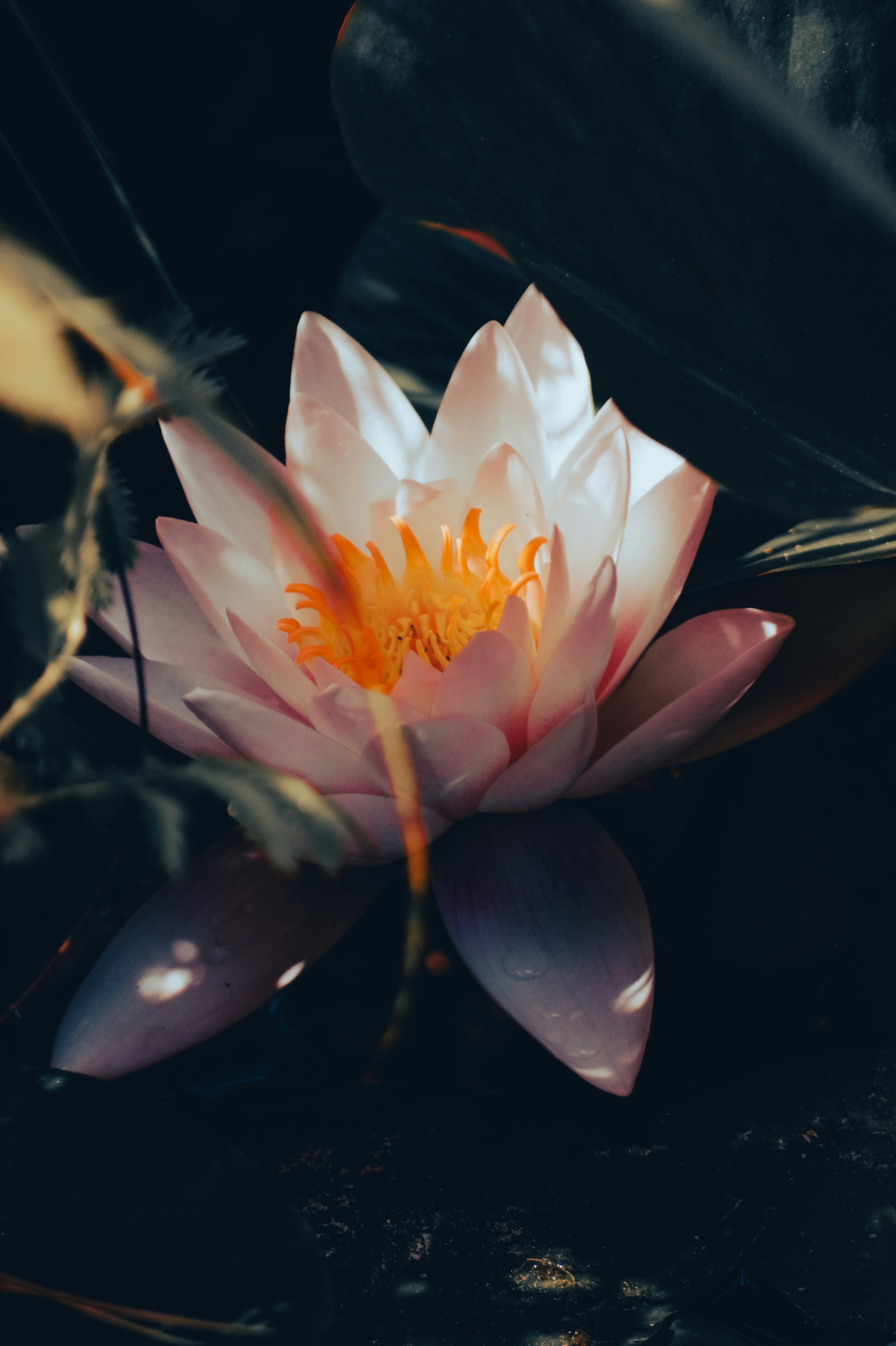 Photo by latitude55_