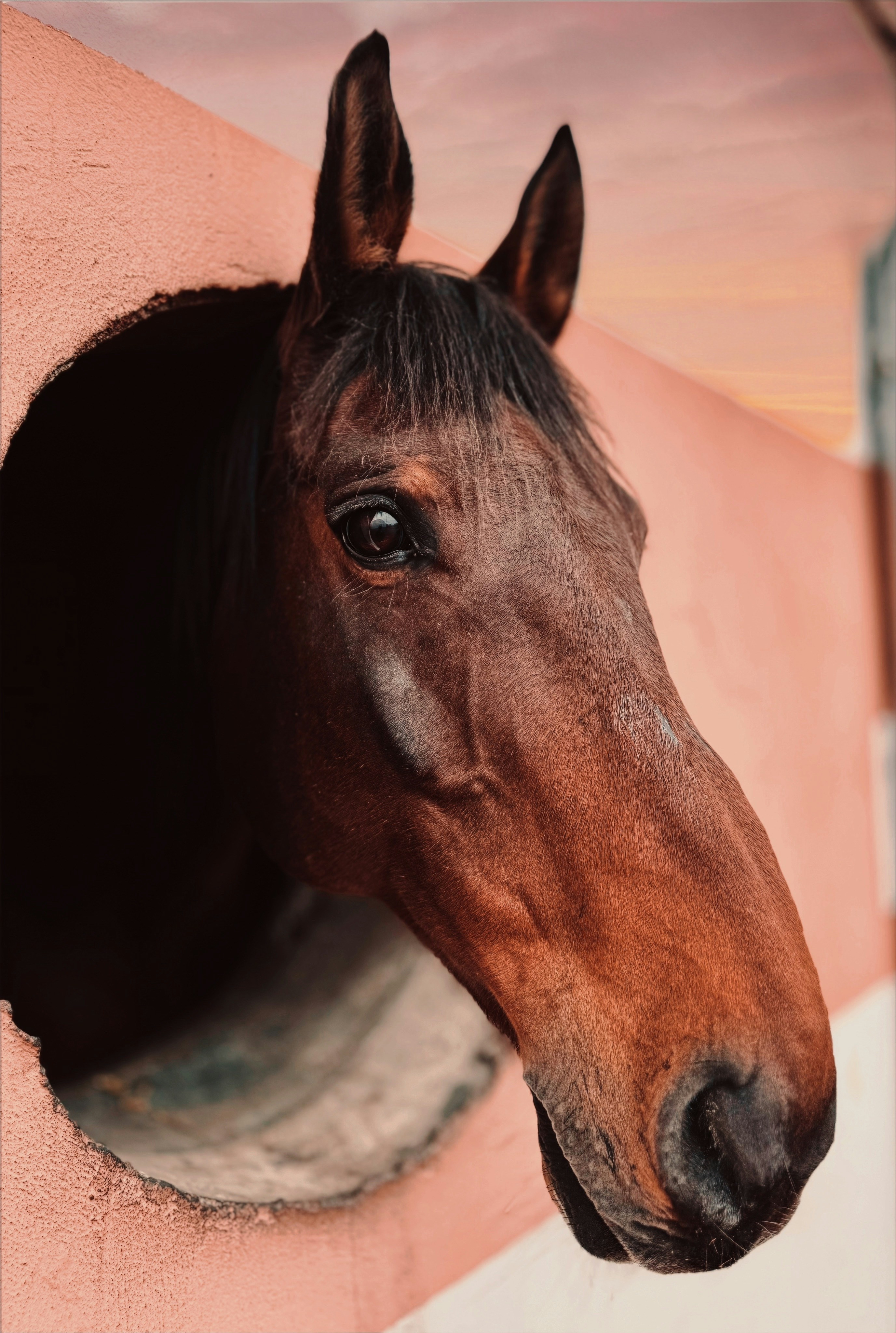 Photo by atherfinest