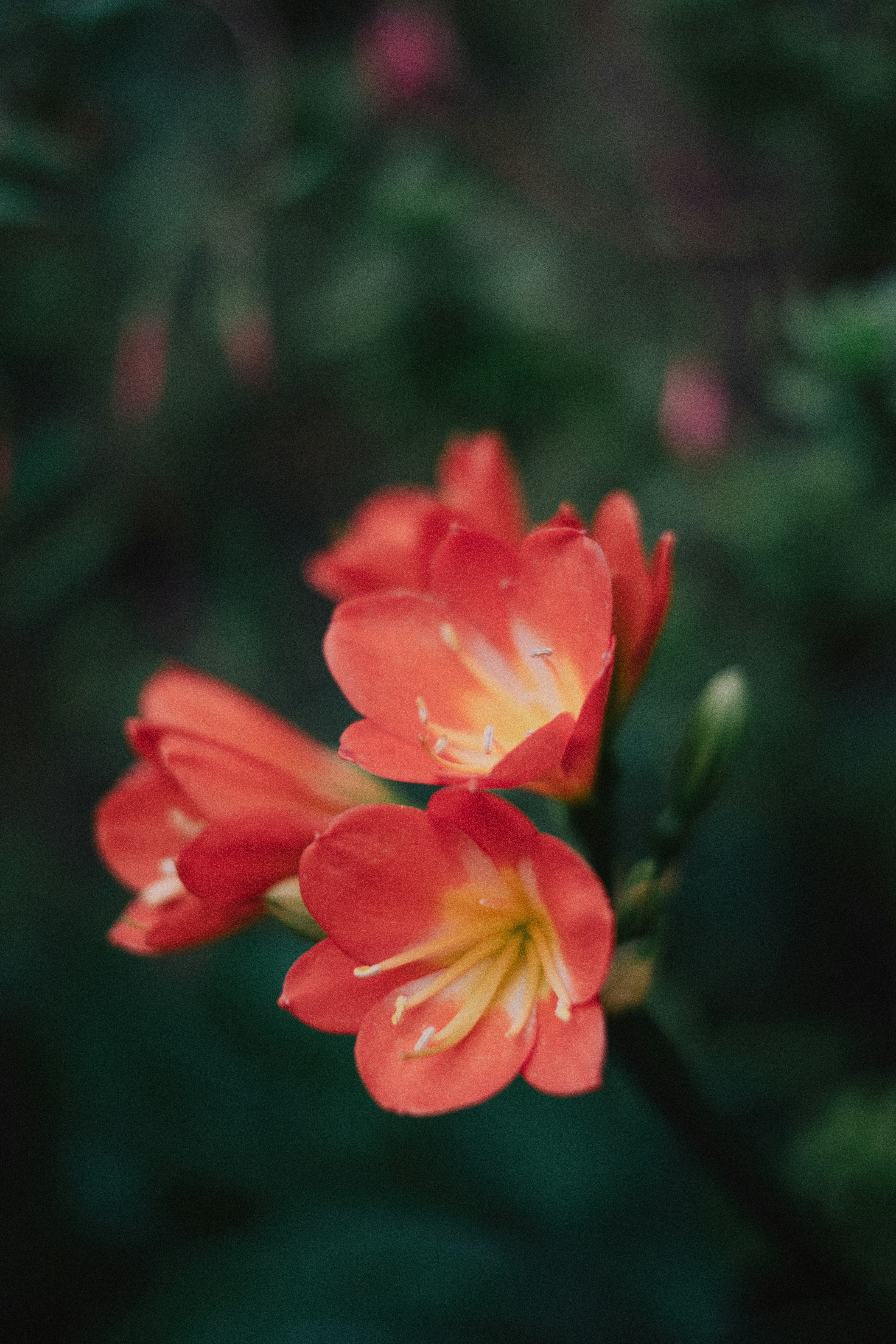 Photo by jasper95