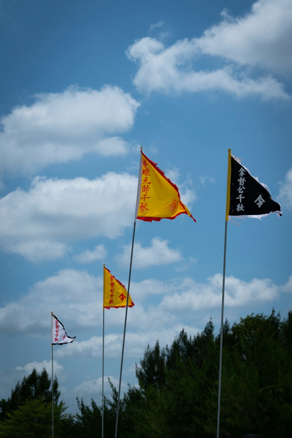 a group of flags flying in the air