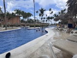Resort pool area surrounded by palm trees under a clear blue sky