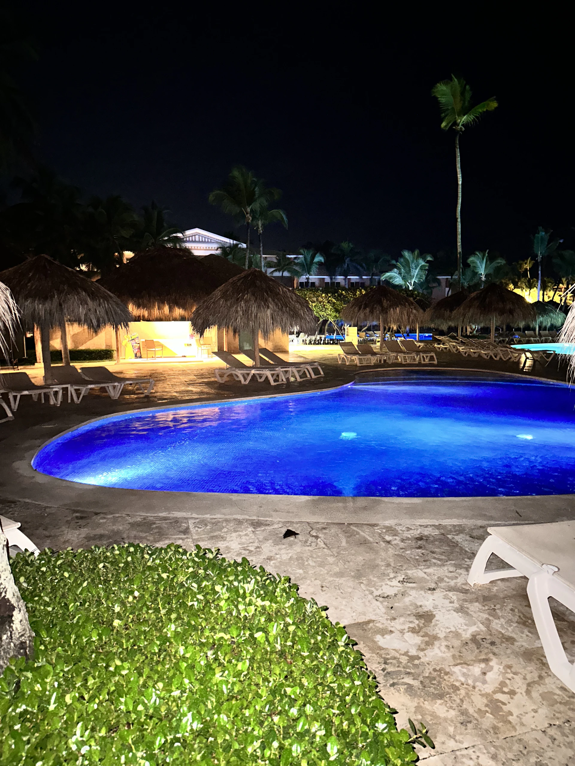 An evening shot of a custom pool glowing with soft underwater lights, surrounded by lush green landscaping that enhances the tranquil vibe.