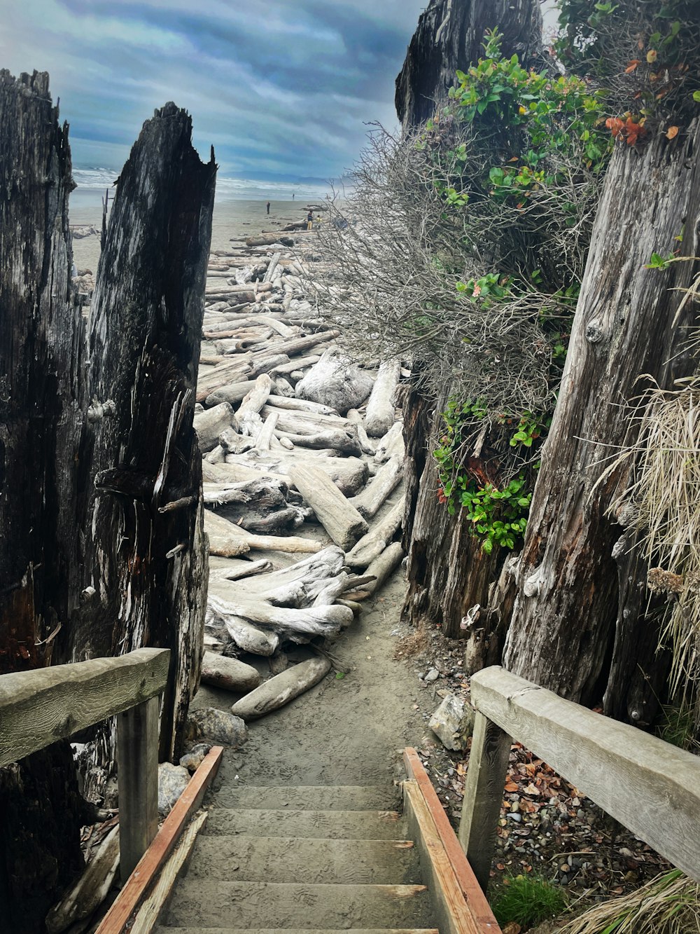 a set of stairs leading up to a beach
