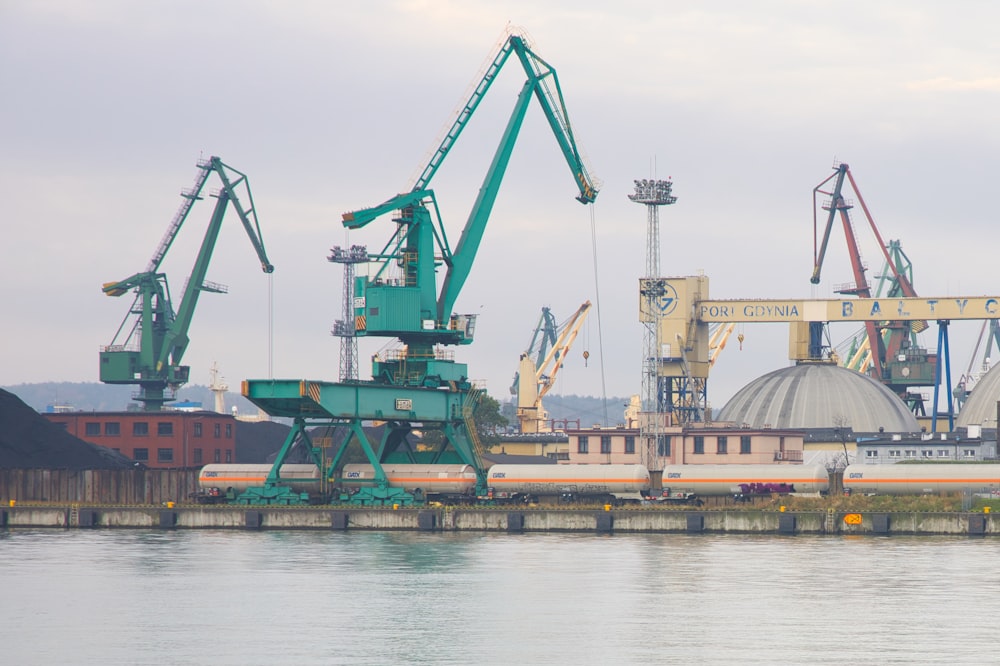 a large body of water filled with lots of cranes