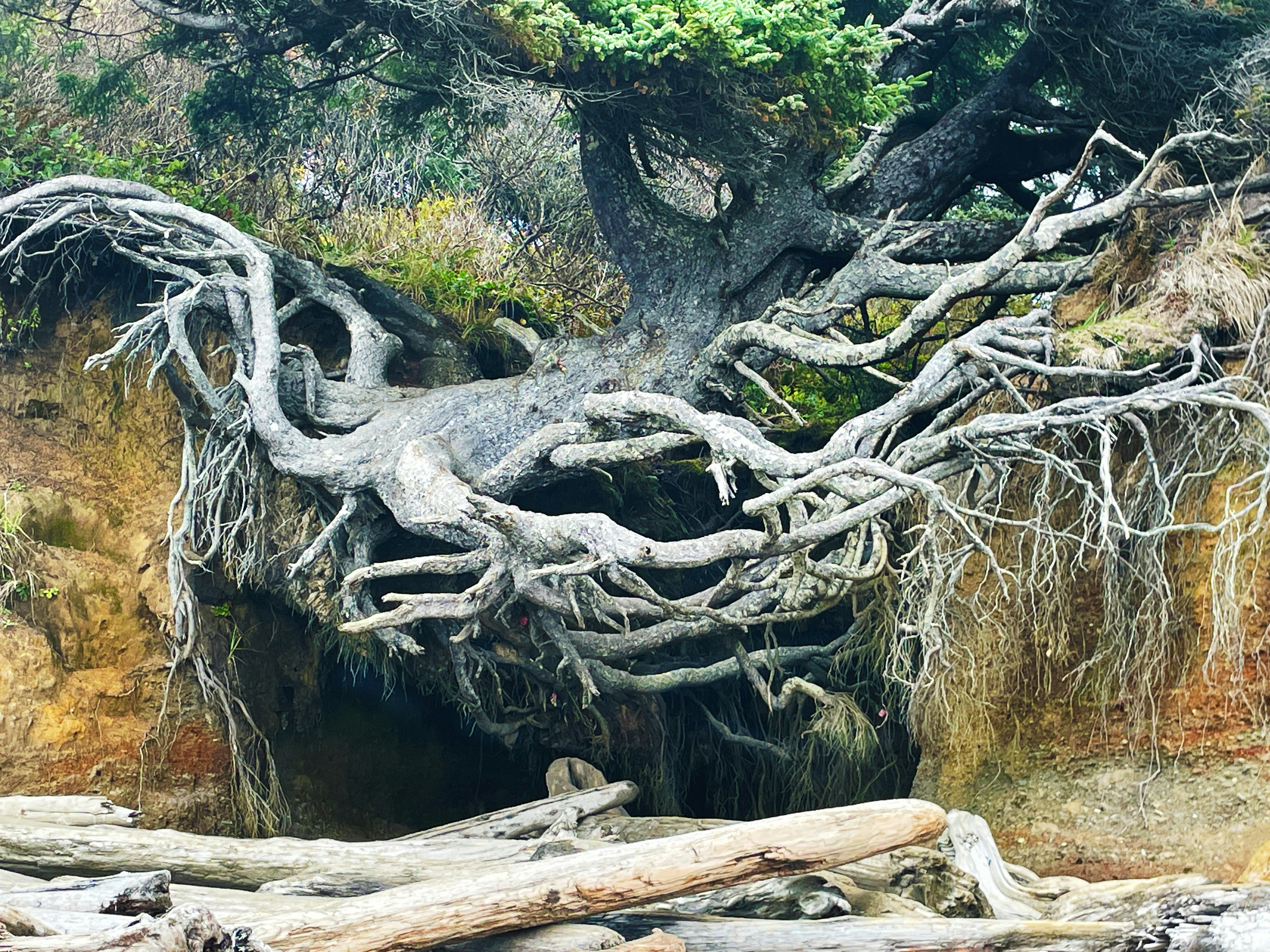 Understanding Weight Changes in MS: What You Need to Know