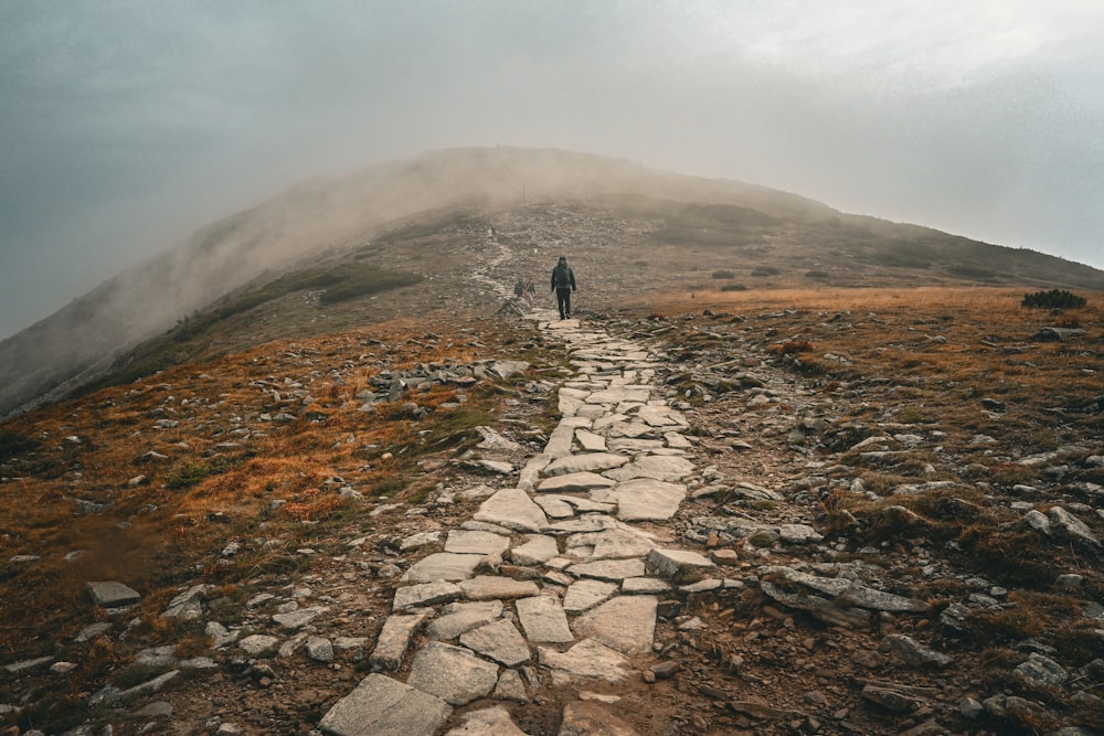 a person walking up a rocky path on a mountain