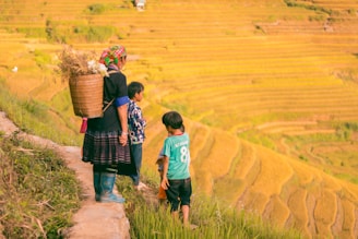 A woman and two children stand on a narrow path alongside terraced rice fields. The woman is carrying a large basket on her back containing harvested crops. The landscape features lush, green and golden terraces with a warm, sunny atmosphere.