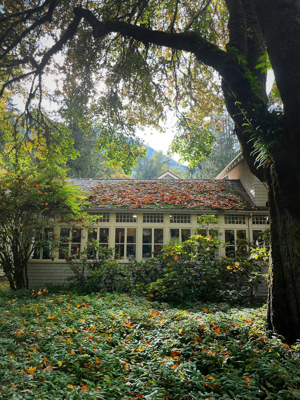 a house that is surrounded by trees and bushes