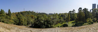 A panoramic view of a newly constructed cycling track winding through a lush green park under a clear blue sky.
