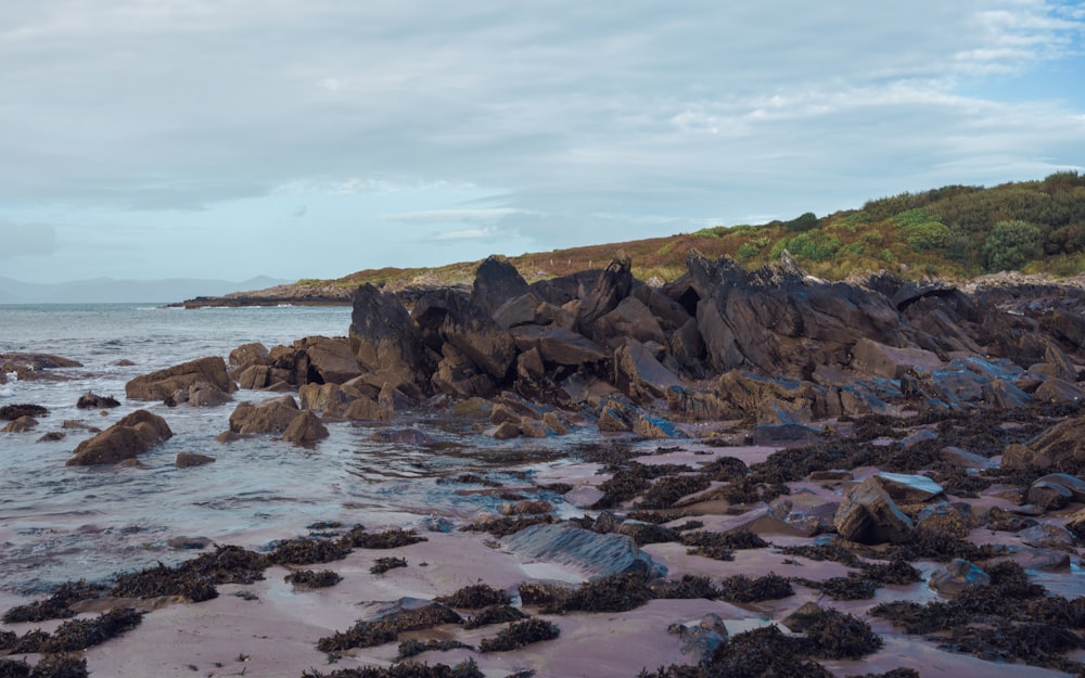 a rocky shore with a body of water and a hill in the background