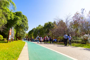 Smiling group of friends enjoying a morning walk in a park surrounded by greenery