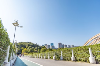 A pathway lines the foreground, bordered by green hedges on both sides, with evenly spaced solar-powered streetlights extending upward. A group of people is walking in the distance. In the background, tall buildings rise next to wooded, hilly terrain, set against a clear blue sky.