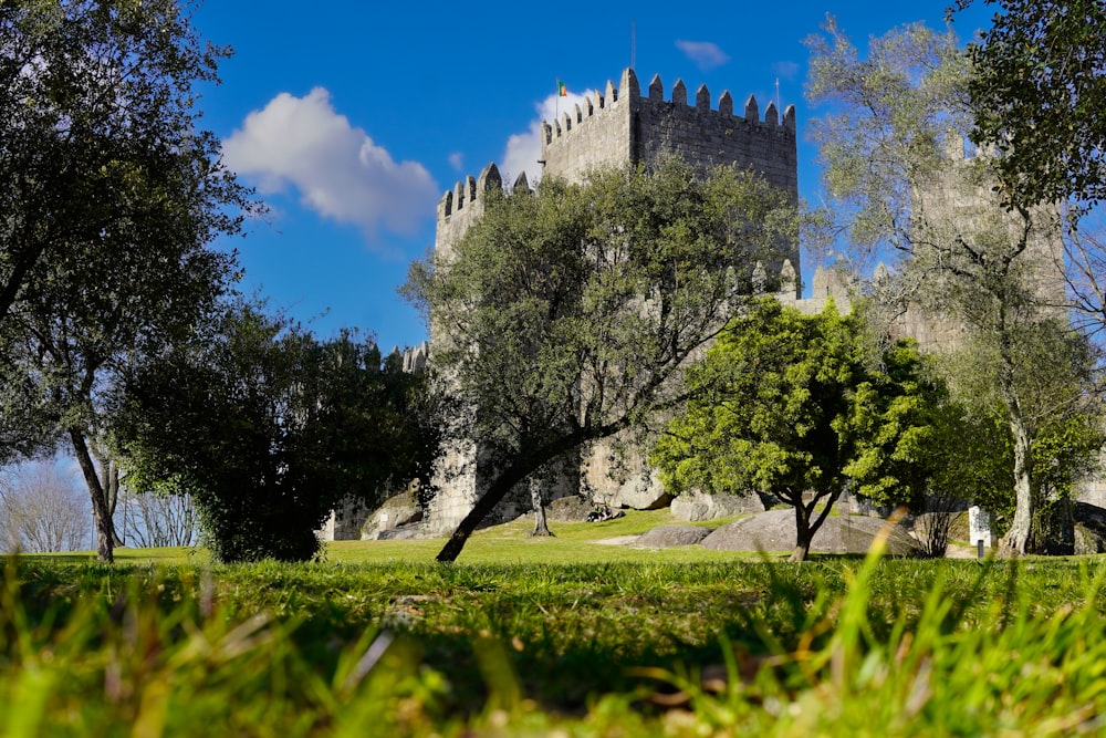 a castle with trees and grass in the foreground