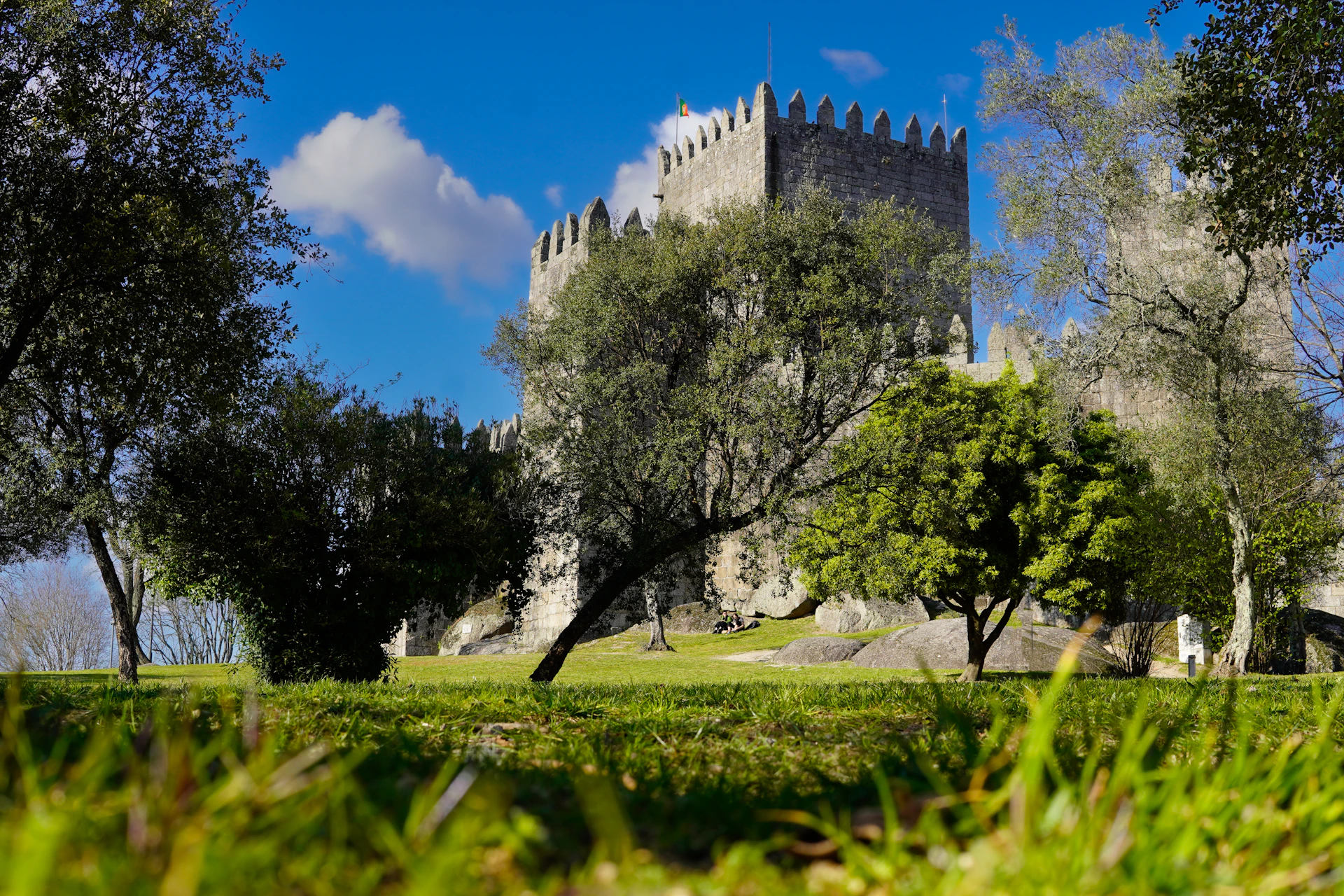 a castle with trees and grass in the foreground