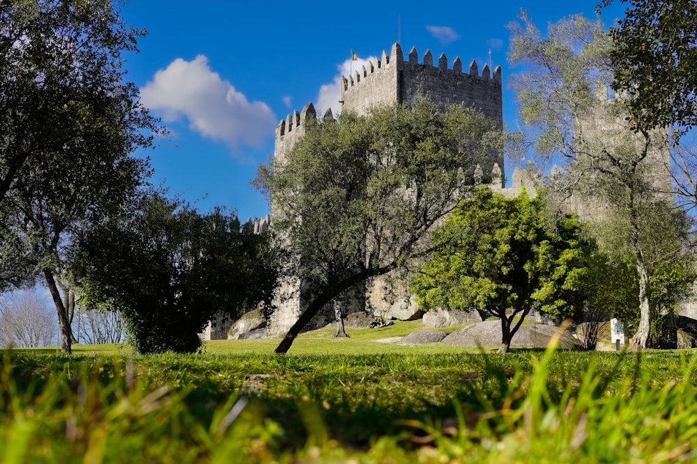 Un castillo con árboles y hierba en primer plano