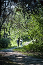 Two business partners walking together along a path in a forest.