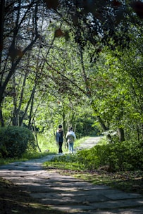 Two business partners walking together along a path in a forest.