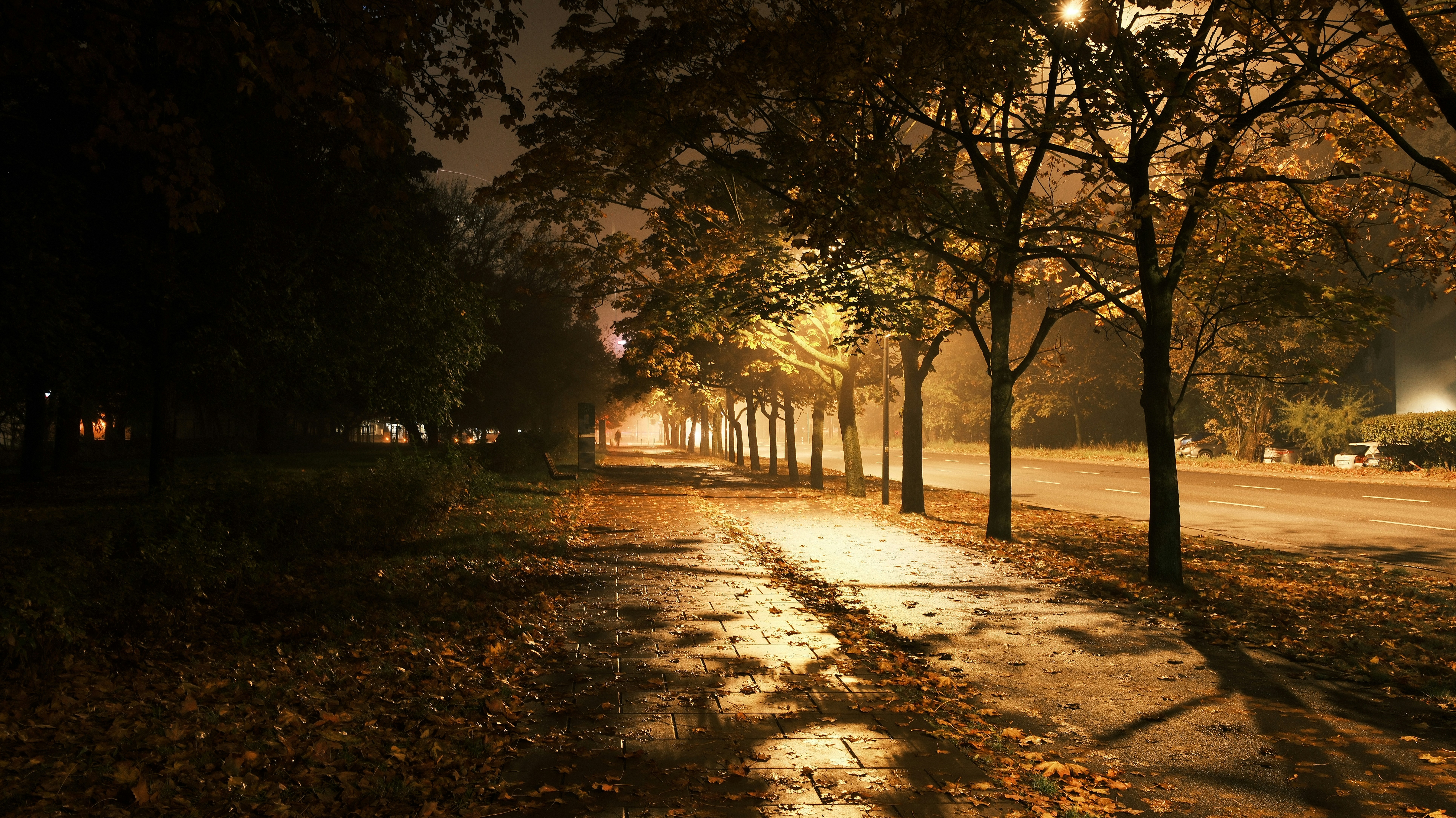 Wenn es früher dunkel wird: Sicherheit beim Spaziergang