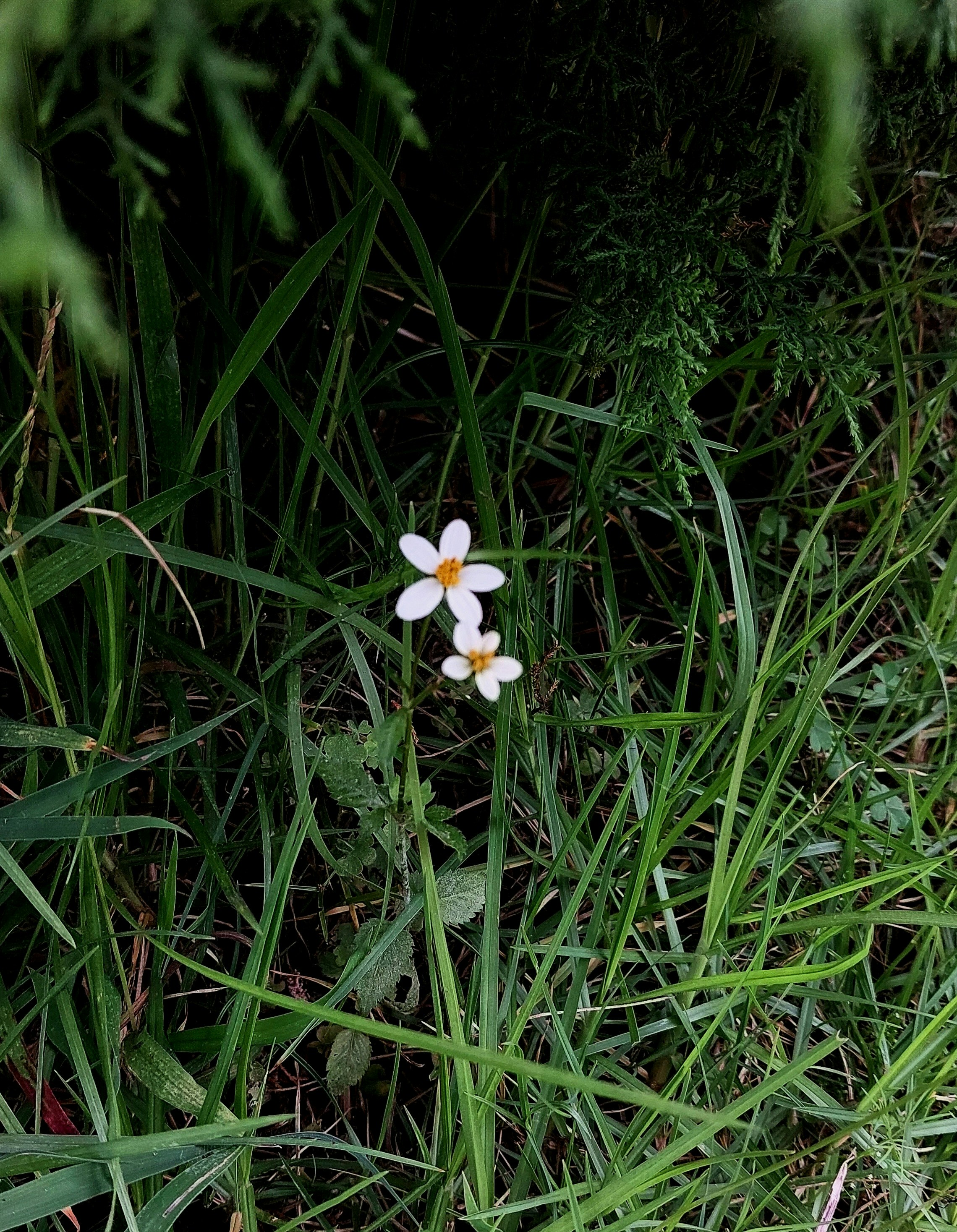 Photo by prethiswaran0499