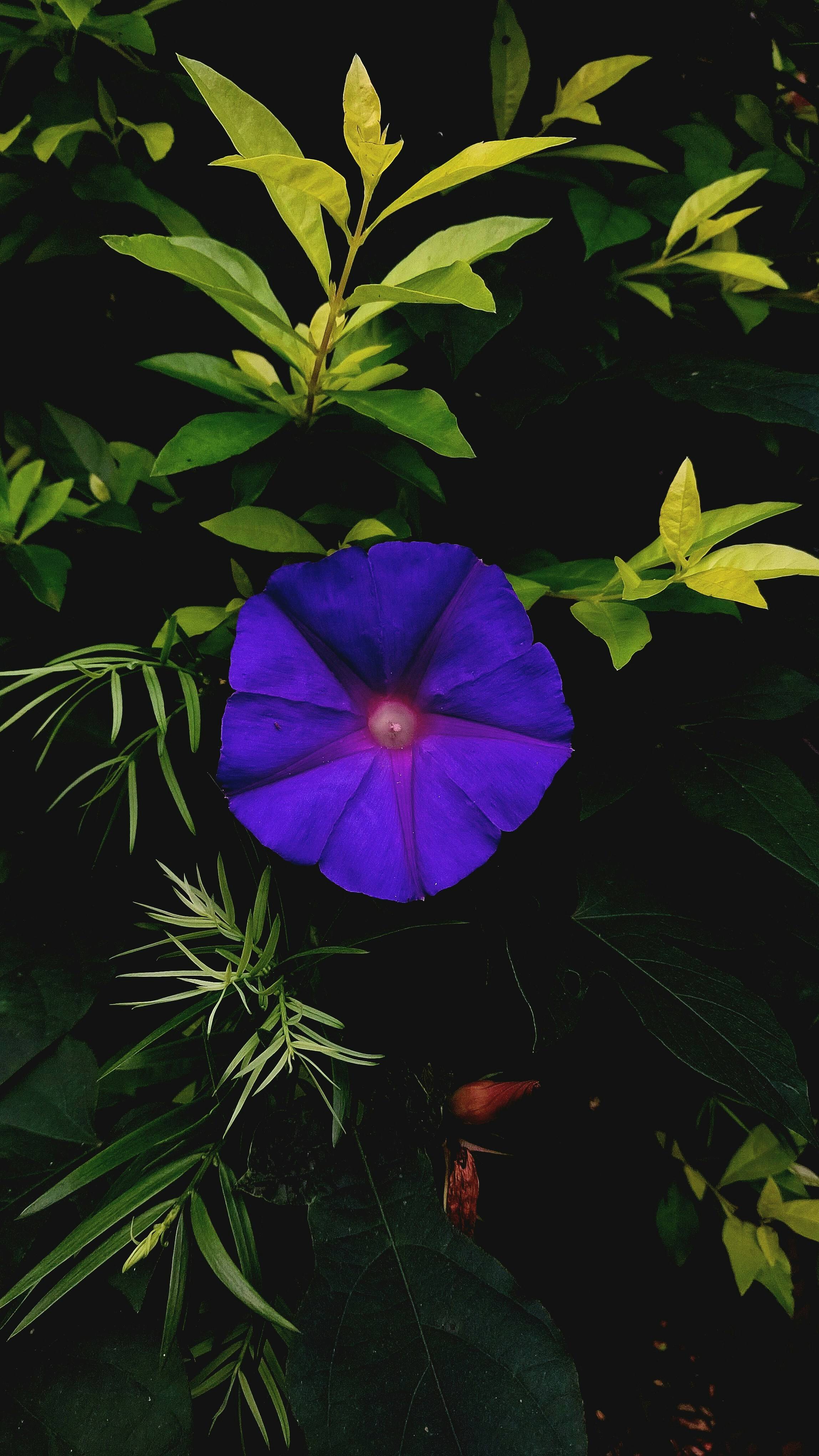 Photo by prethiswaran0499