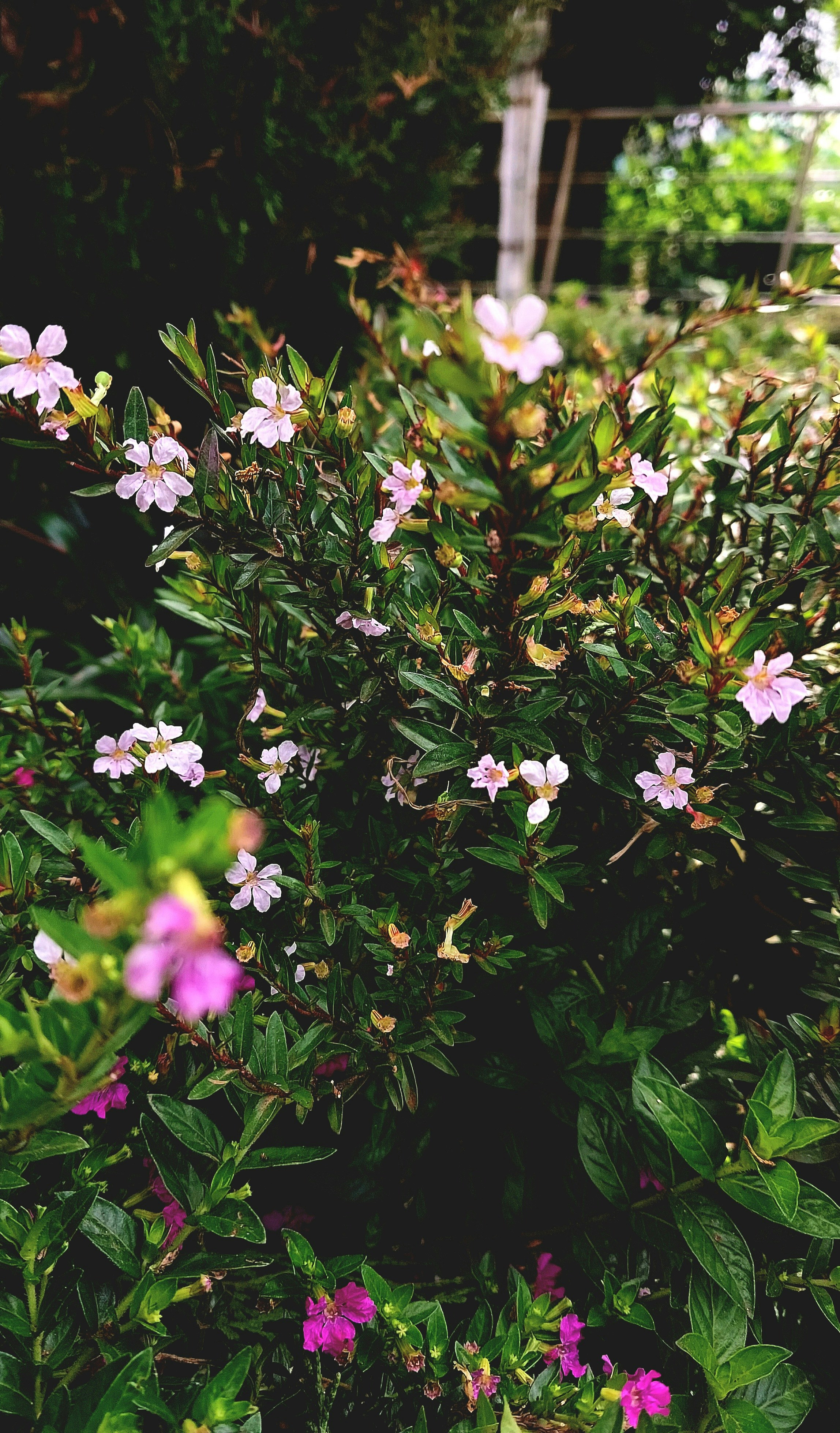 Photo by prethiswaran0499