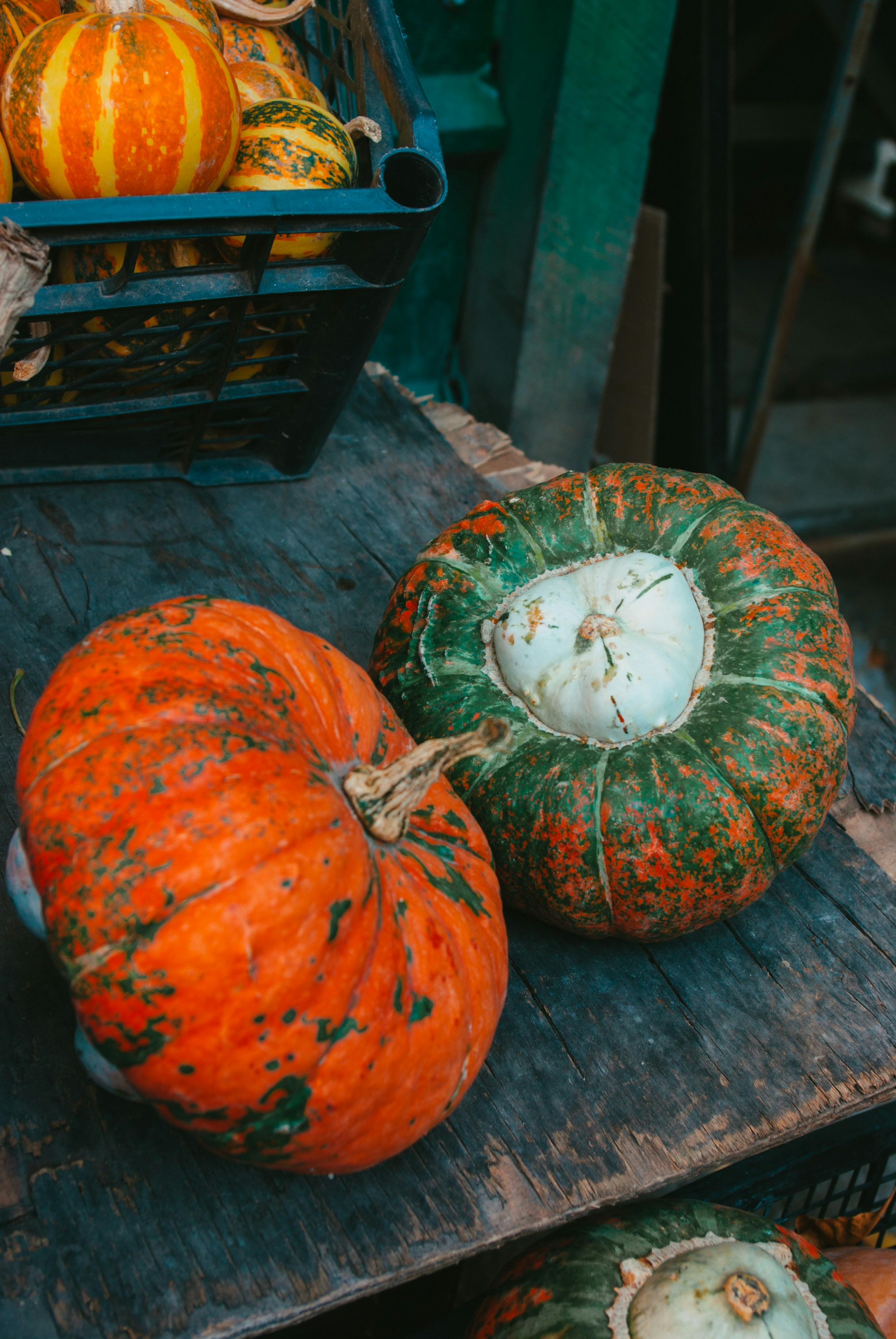 Photo by moonmoons_days