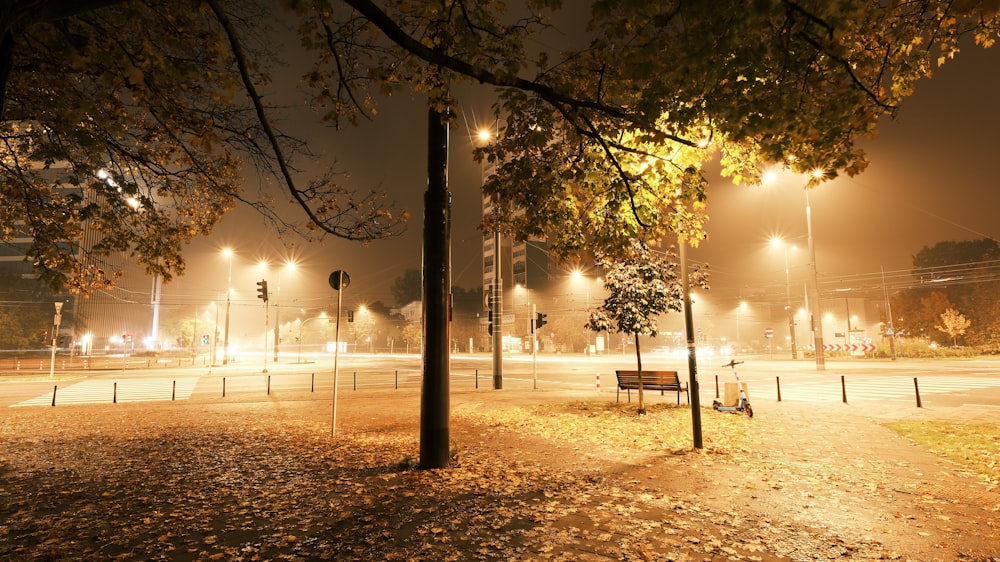 a park at night with a bench and street lights