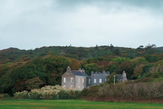 A large stone house sits nestled among dense green trees and foliage. The landscape features rolling hills and a cloudy sky, creating a serene and slightly overcast atmosphere. Tall grasses and plants surround the house, suggesting a rural setting.