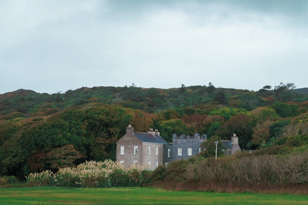 A large stone house sits nestled among dense green trees and foliage. The landscape features rolling hills and a cloudy sky, creating a serene and slightly overcast atmosphere. Tall grasses and plants surround the house, suggesting a rural setting.