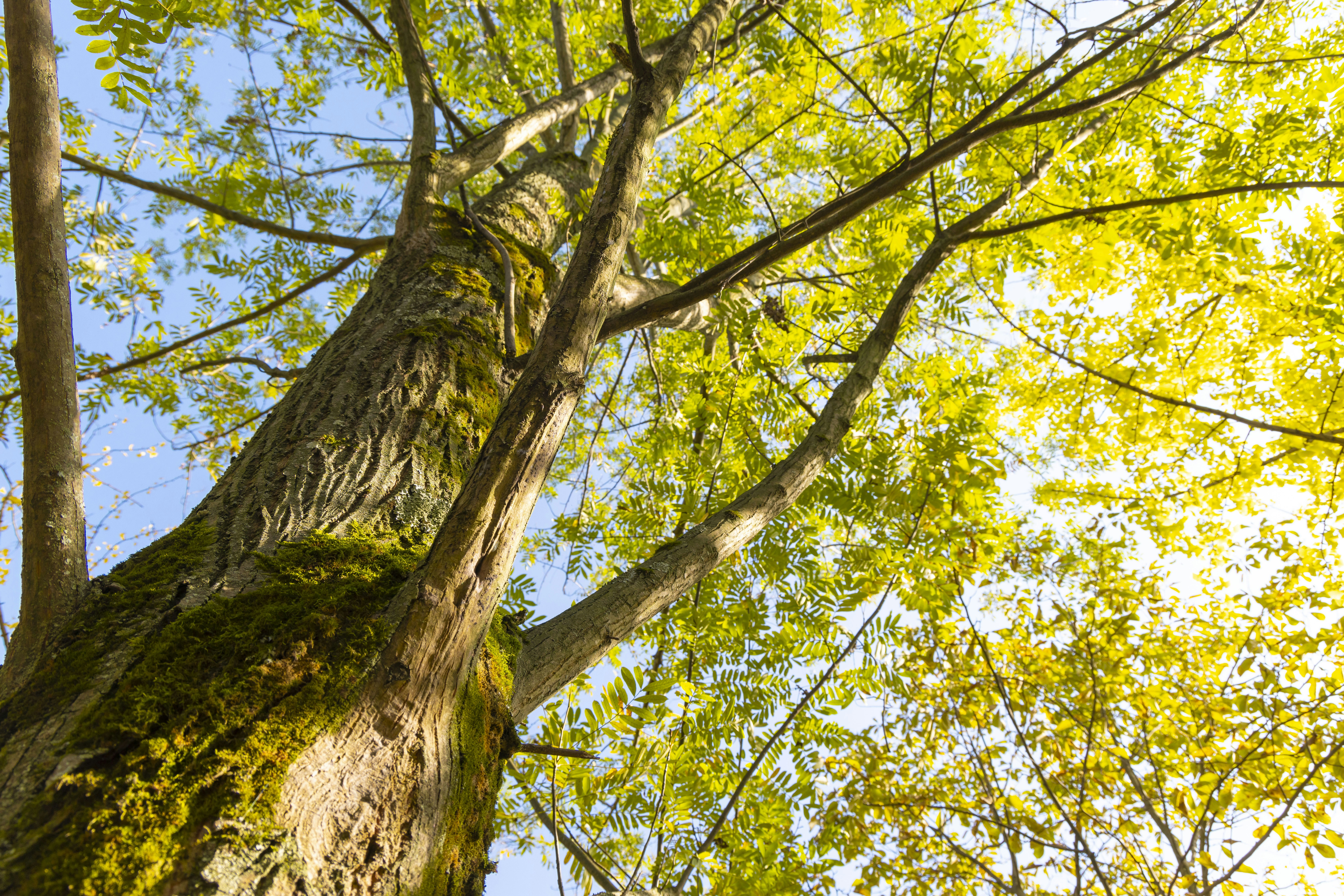 Photo by yokonoito0512