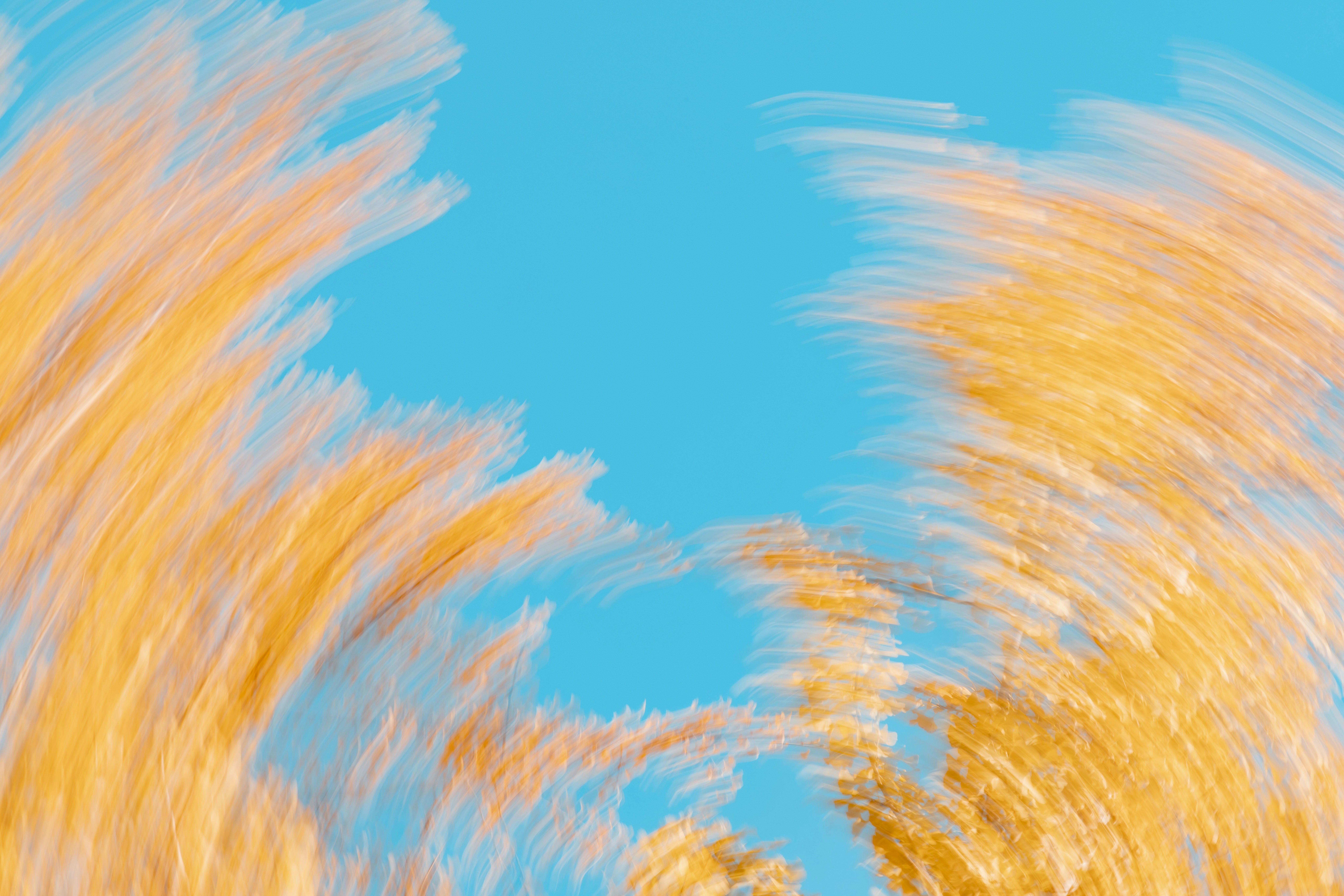 青と黄色の抽象的なアートワークの写真 – Unsplashの要約の無料画像