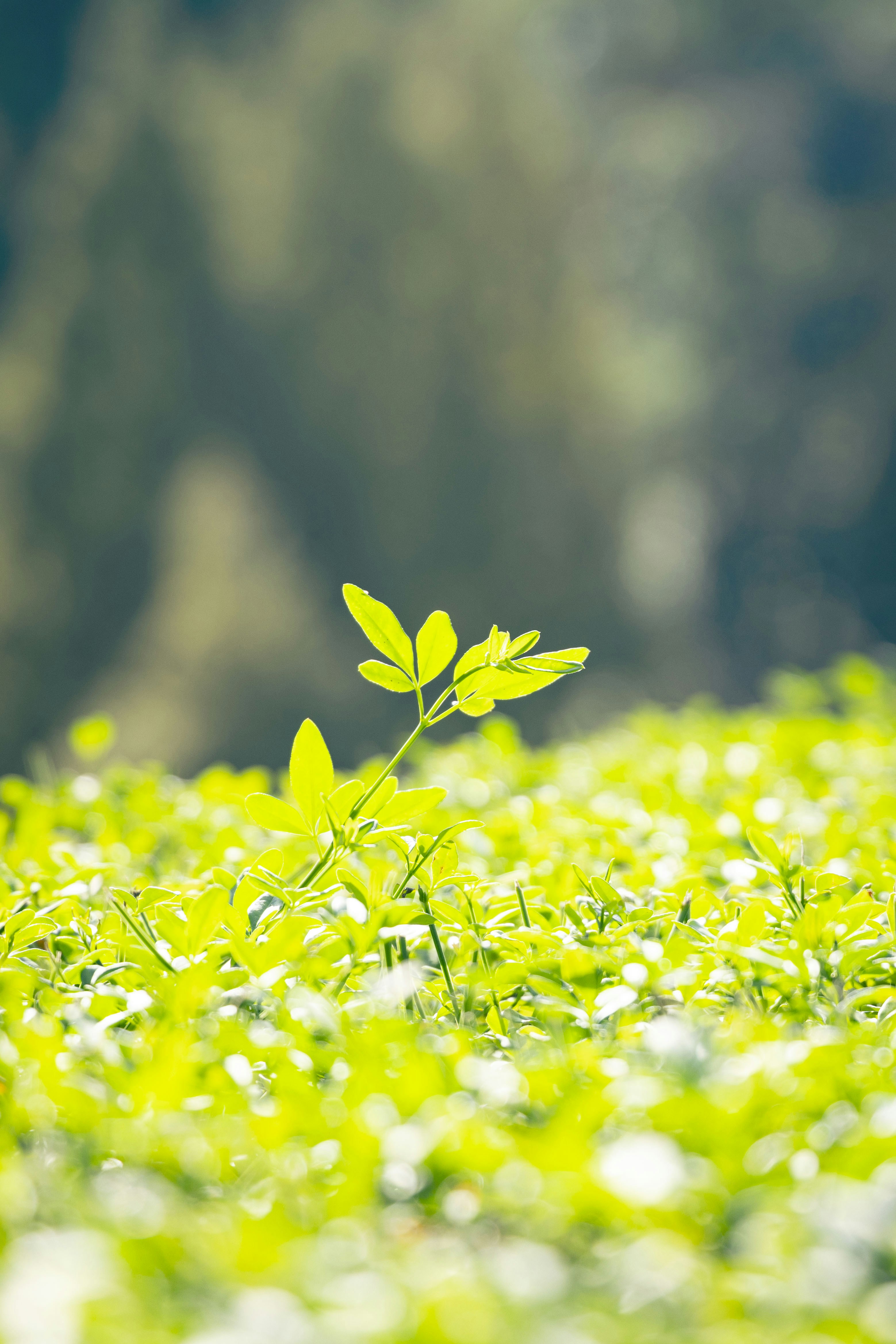 Photo by yokonoito0512