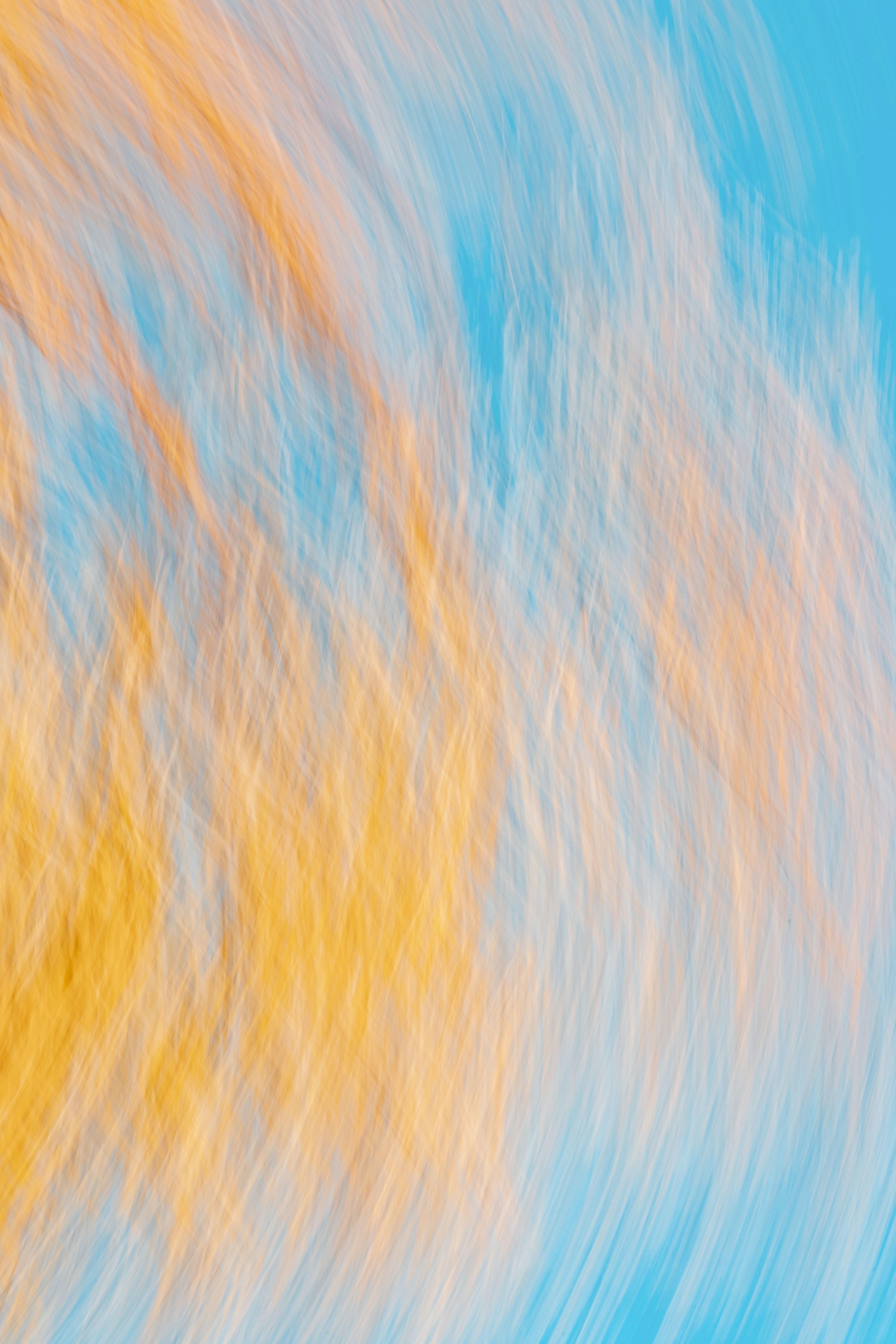 Photo by yokonoito0512