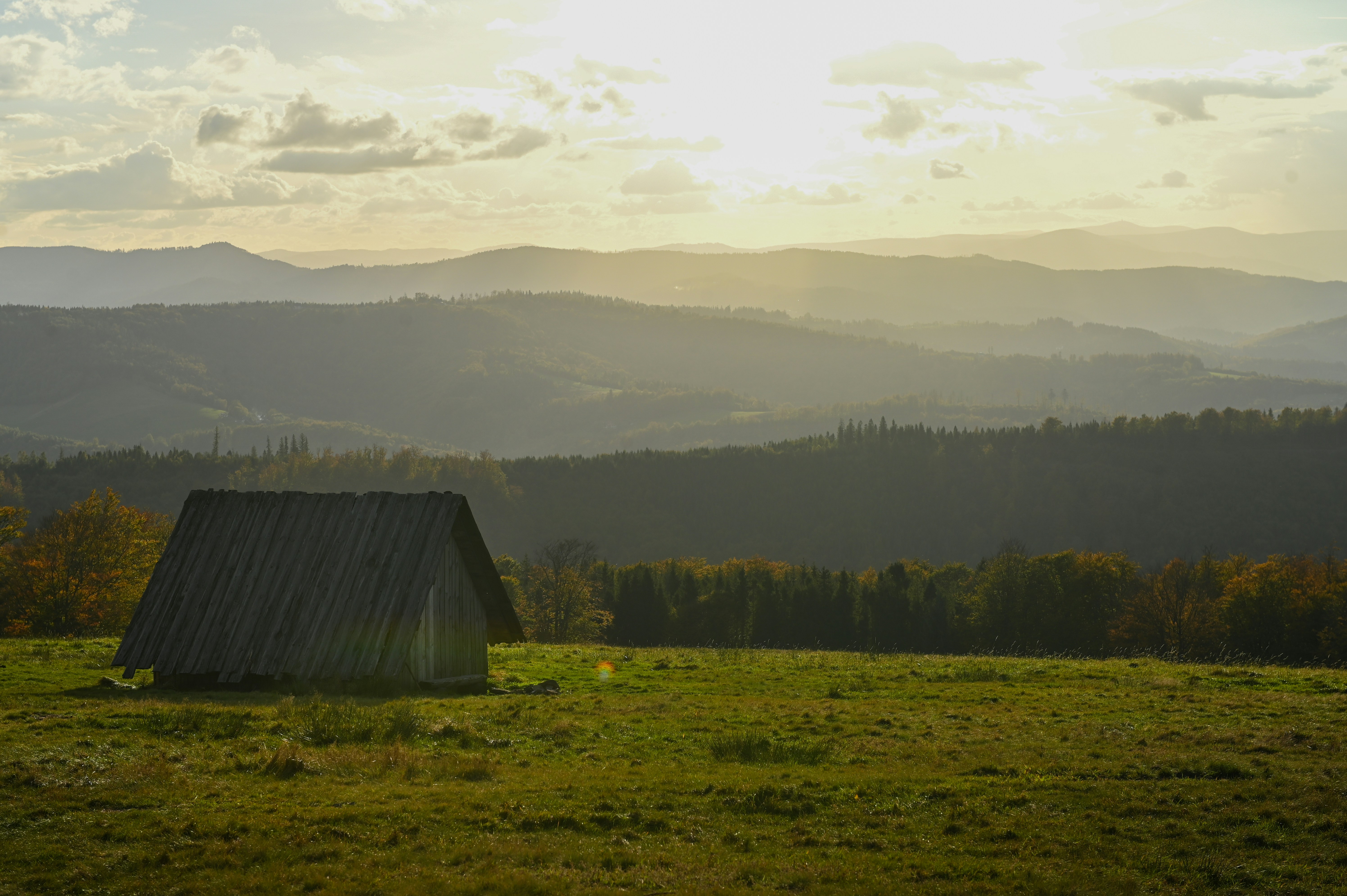 Photo by alexandra_p_d