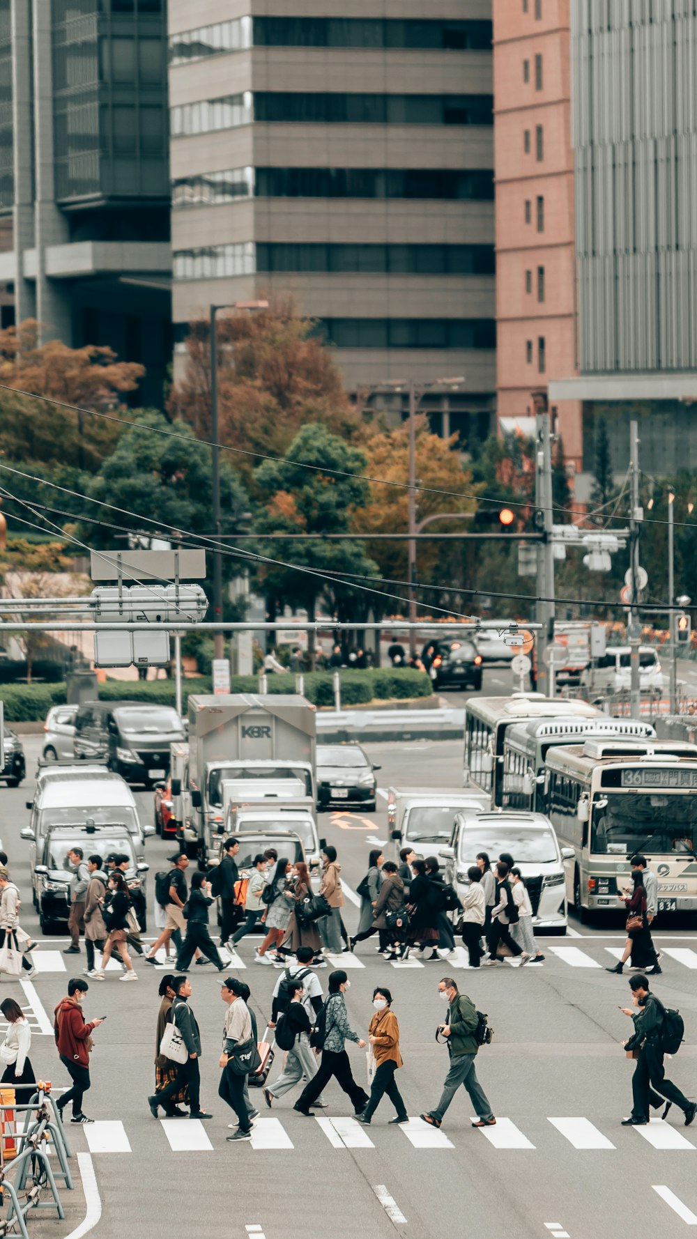 a large group of people crossing a street