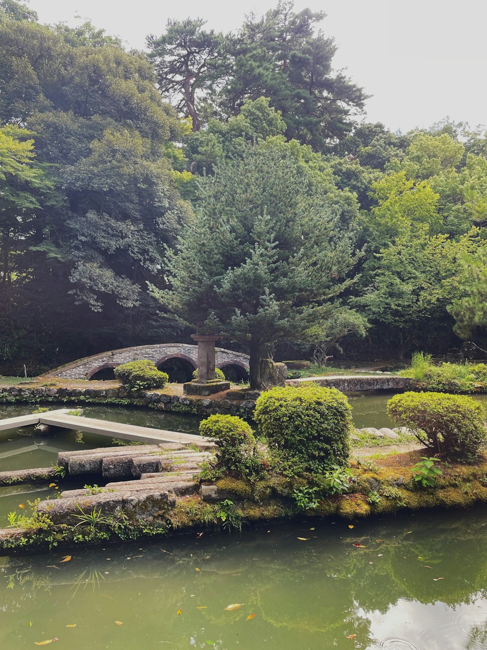 a pond surrounded by trees and a bridge