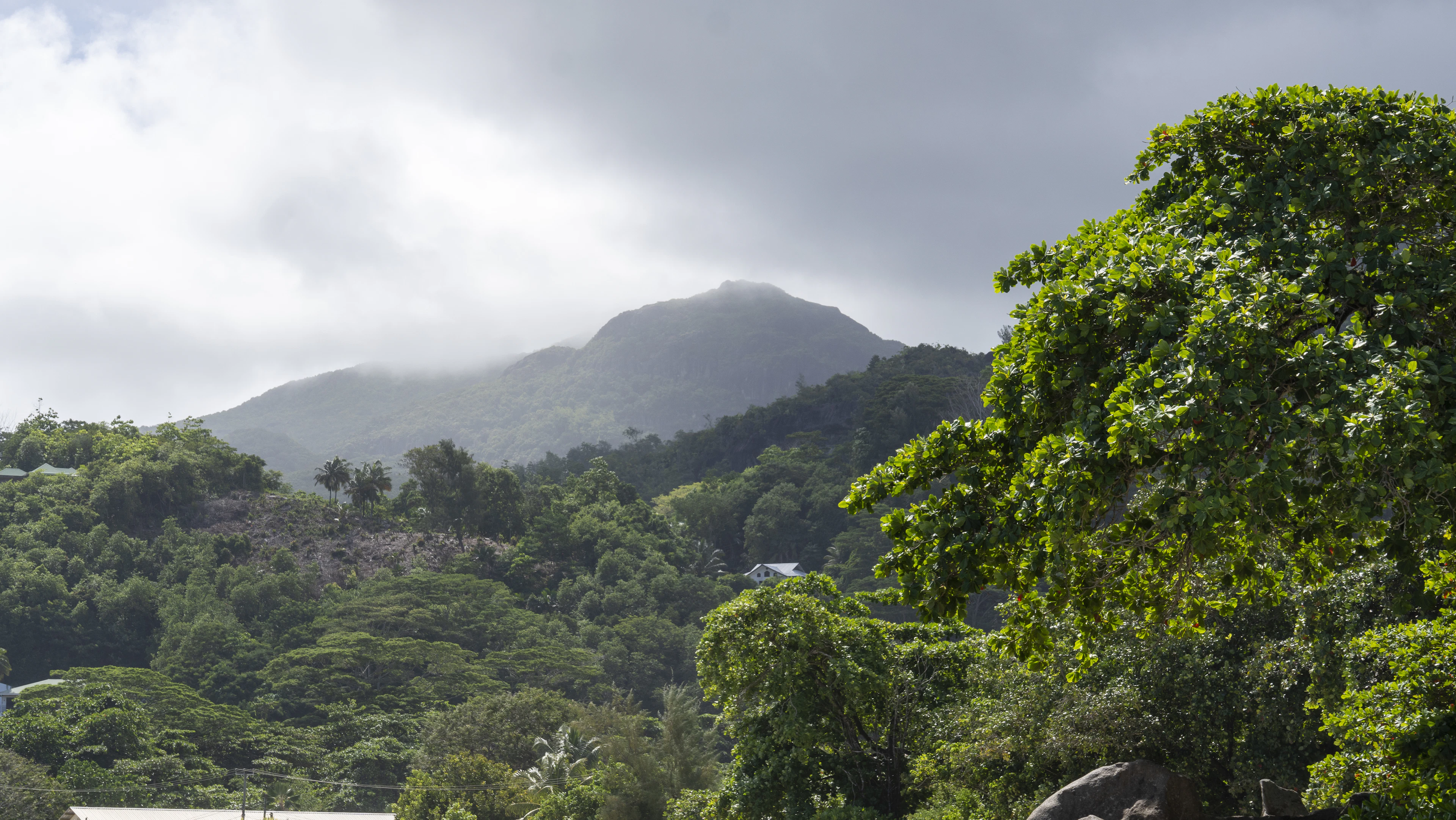 A green ridge on Mahe rising into low cloud, houses scattered up the forested slope with granite boulders below