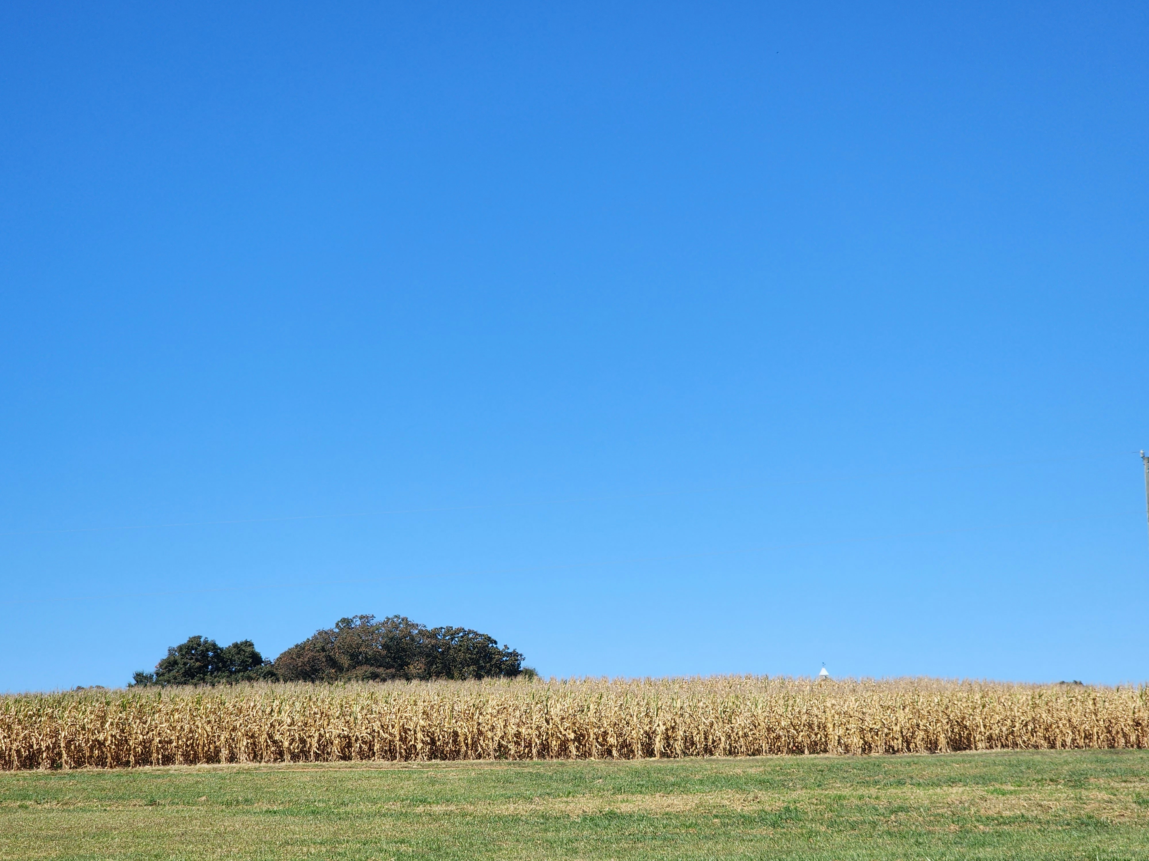 Photo by harindranvikram