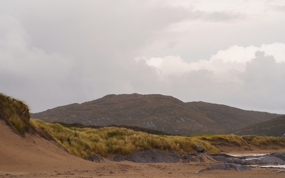 a sandy beach with a mountain in the background