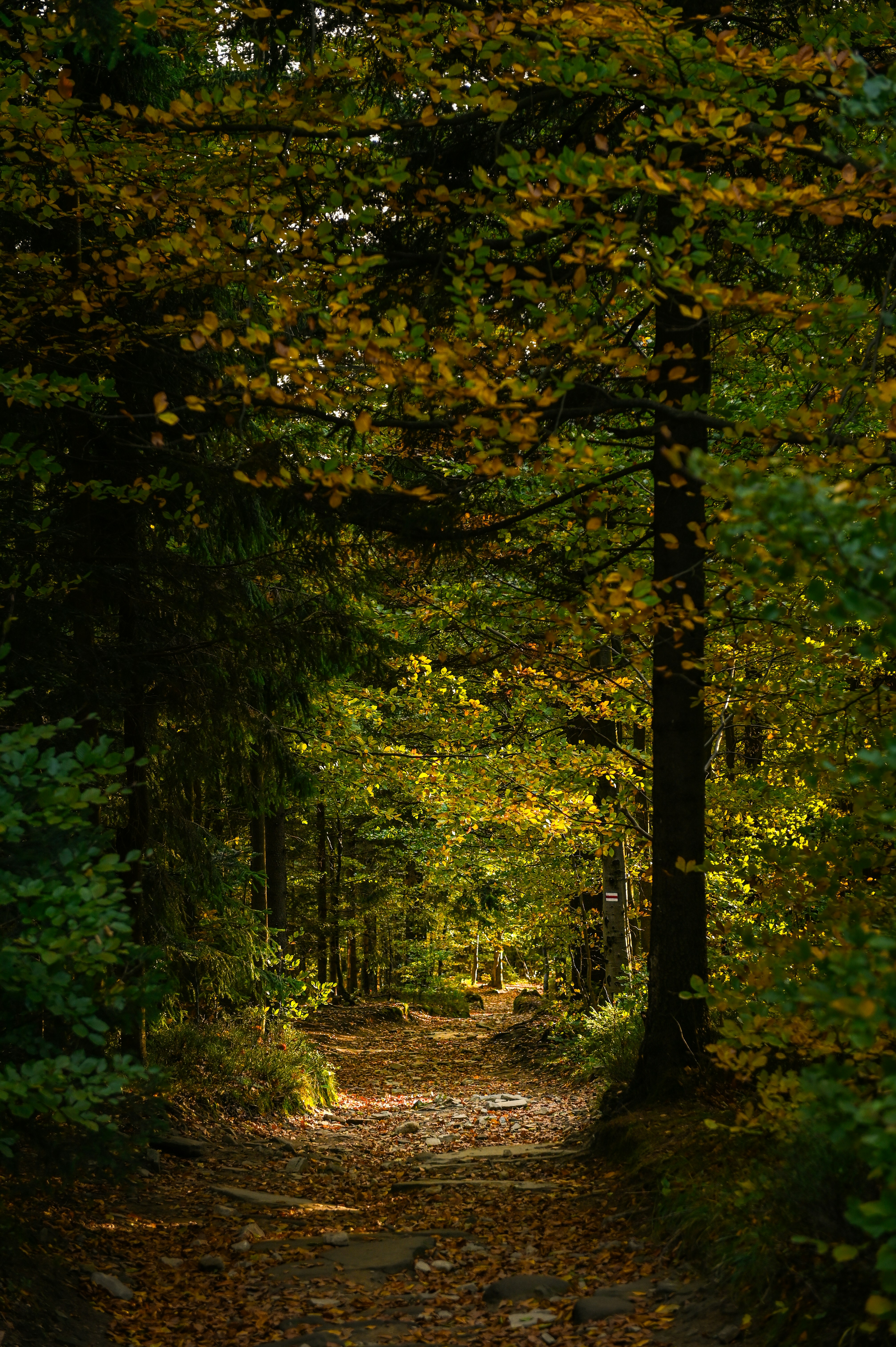 Photo by alexandra_p_d