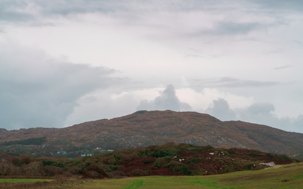 a grassy field with a mountain in the background