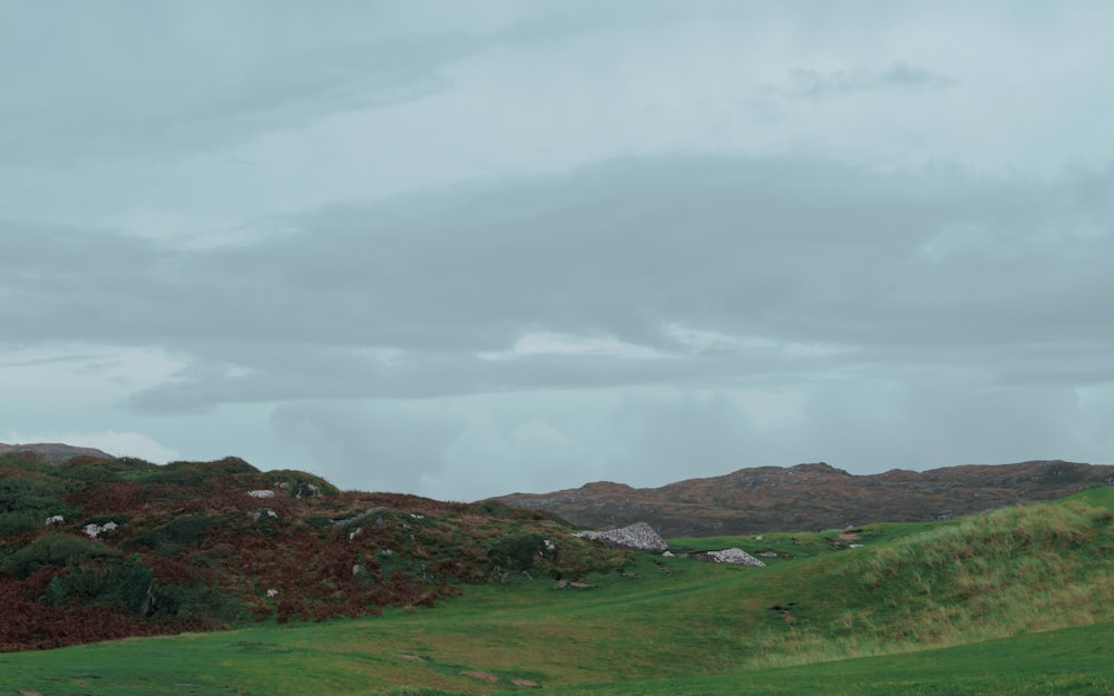 a grassy field with a hill in the background