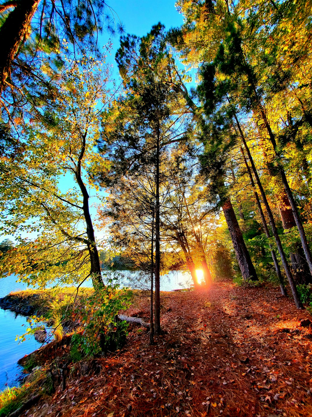 Trails Carolina campsite